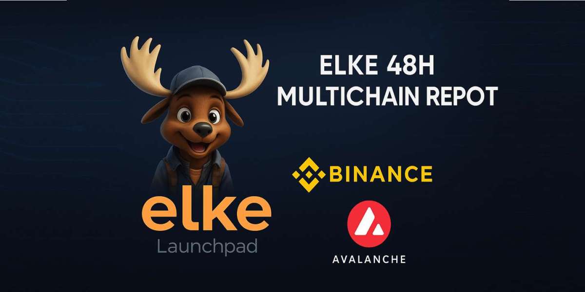 ELKE Multichain Report - 48 Hours In: A Deep Dive into Volume, Liquidity, and Price